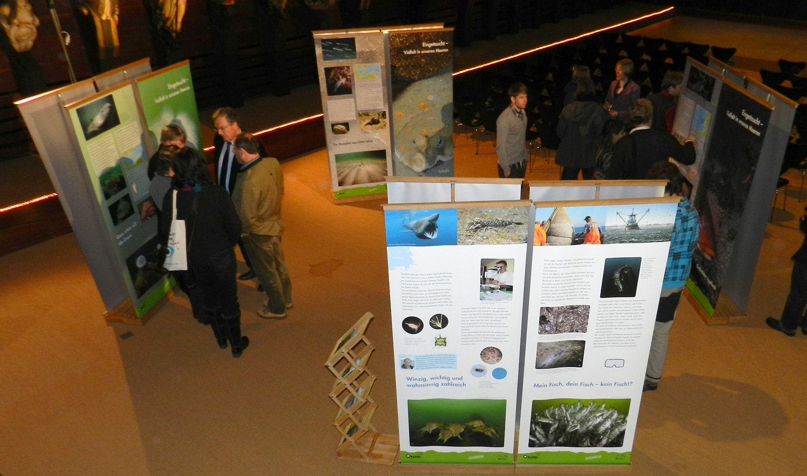 Ausstellungen mit Rollups